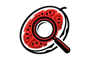 sb体育平台app - 吃瓜社Logo